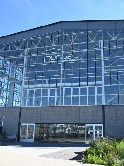 Greenhouse Riverside